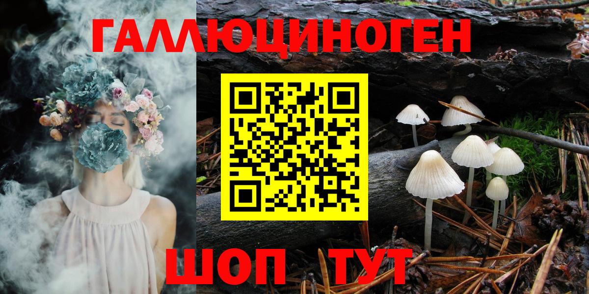Псилоцибиновые грибы ЛСД Городец