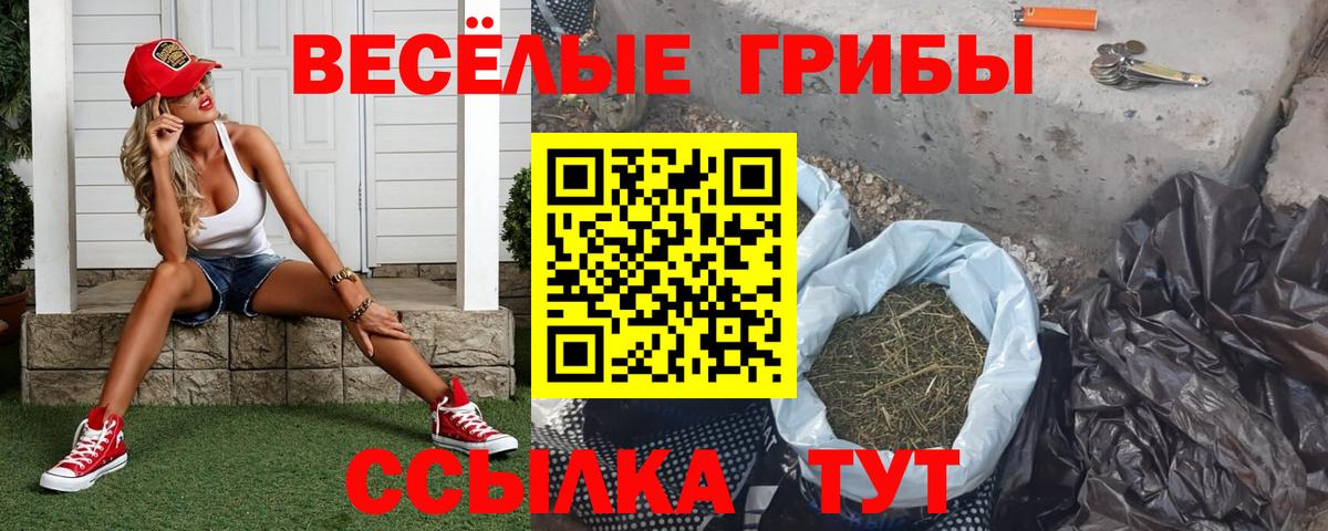 Галлюциногенные грибы Magic Shrooms  Вход с VPN  Городец 